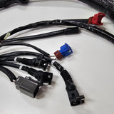 ENGINE LOOM for VL RB30 - HOLDCOM AUTO PARTS