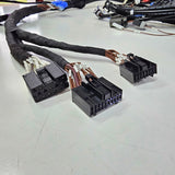 ENGINE LOOM for VL RB30 - HOLDCOM AUTO PARTS